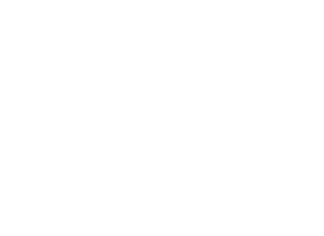 Immo-Calvi.fr